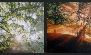 BlogPosts_2025_OnTheTerraceMixtapes_1170x714px